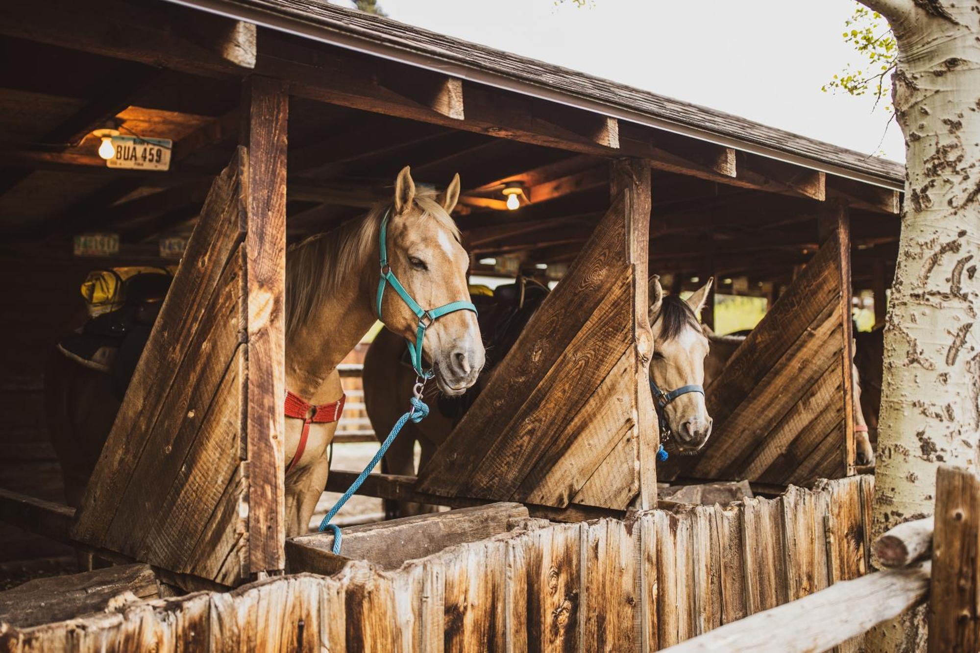 The Meeker Park Lodge Allenspark Экстерьер фото