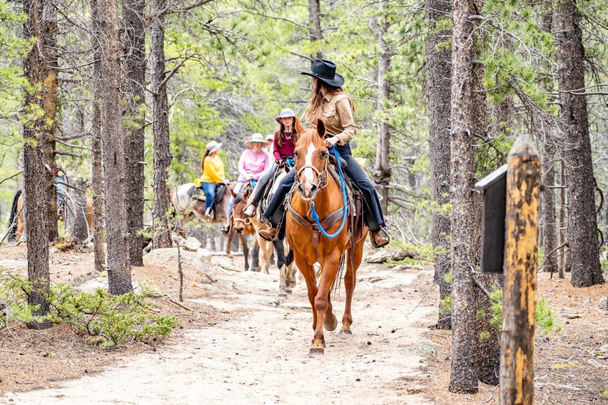 The Meeker Park Lodge Allenspark Экстерьер фото